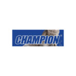 CHAMPION_360x